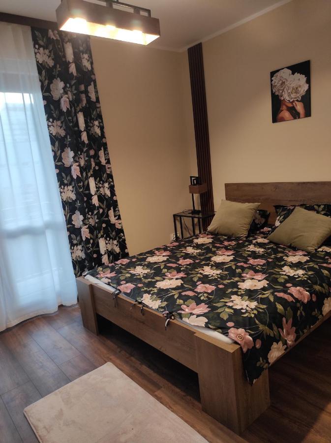 Apartament Centrum Rp カトヴィツェ エクステリア 写真
