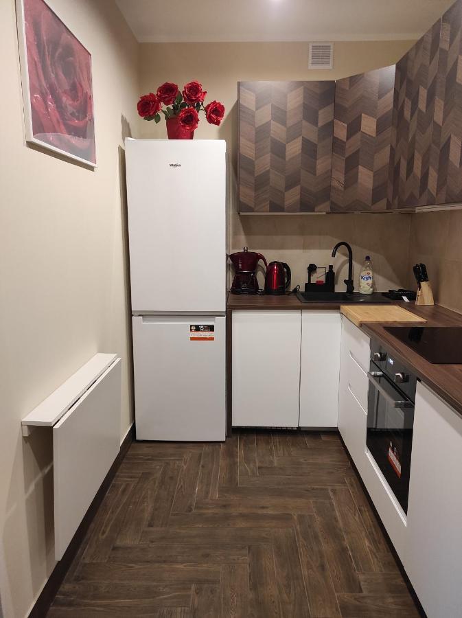 Apartament Centrum Rp カトヴィツェ エクステリア 写真