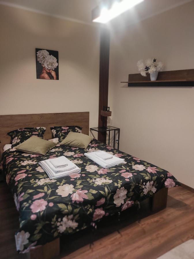 Apartament Centrum Rp カトヴィツェ エクステリア 写真